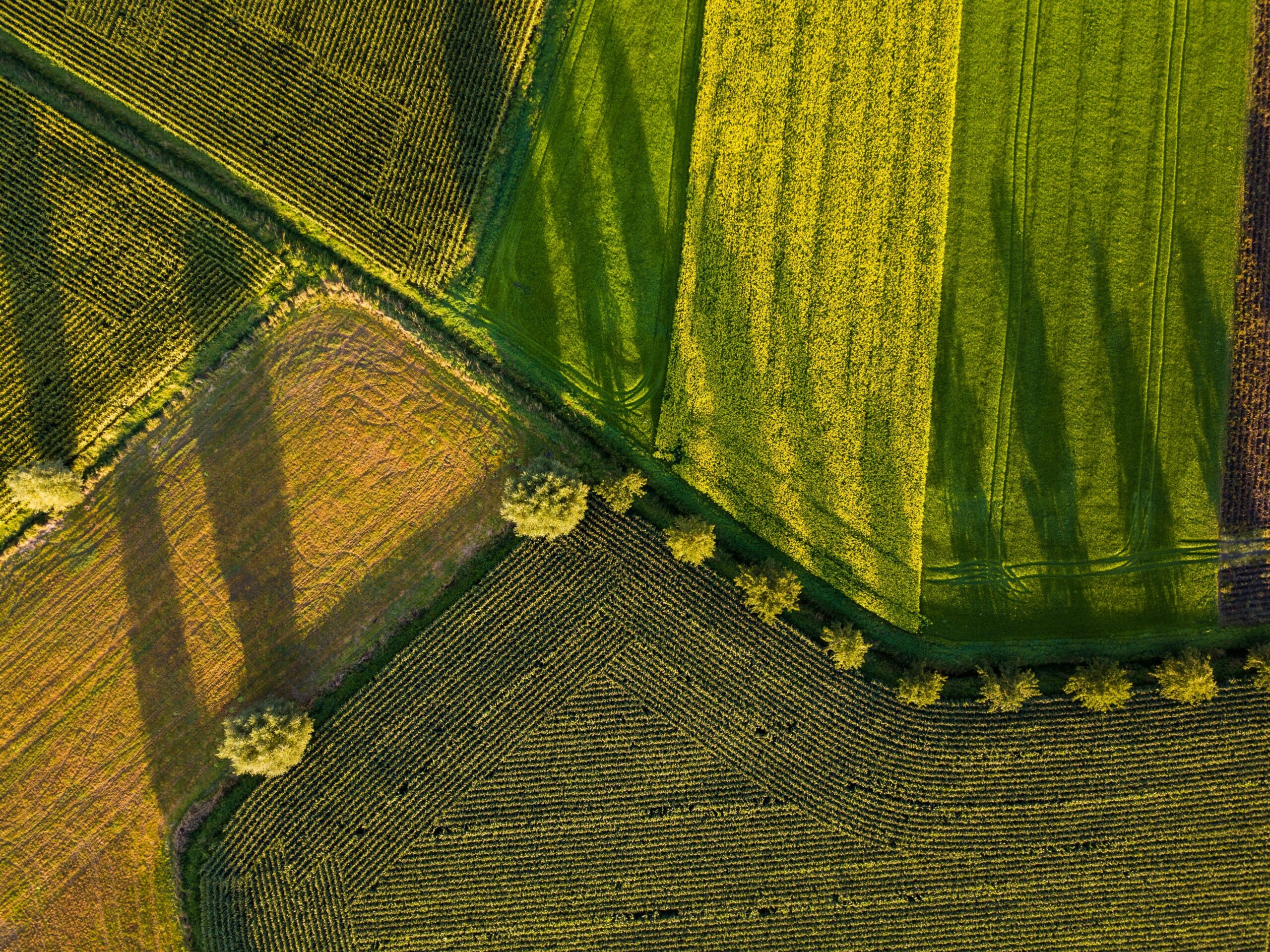 Good Agricultre Practices Good Agricultre Practices