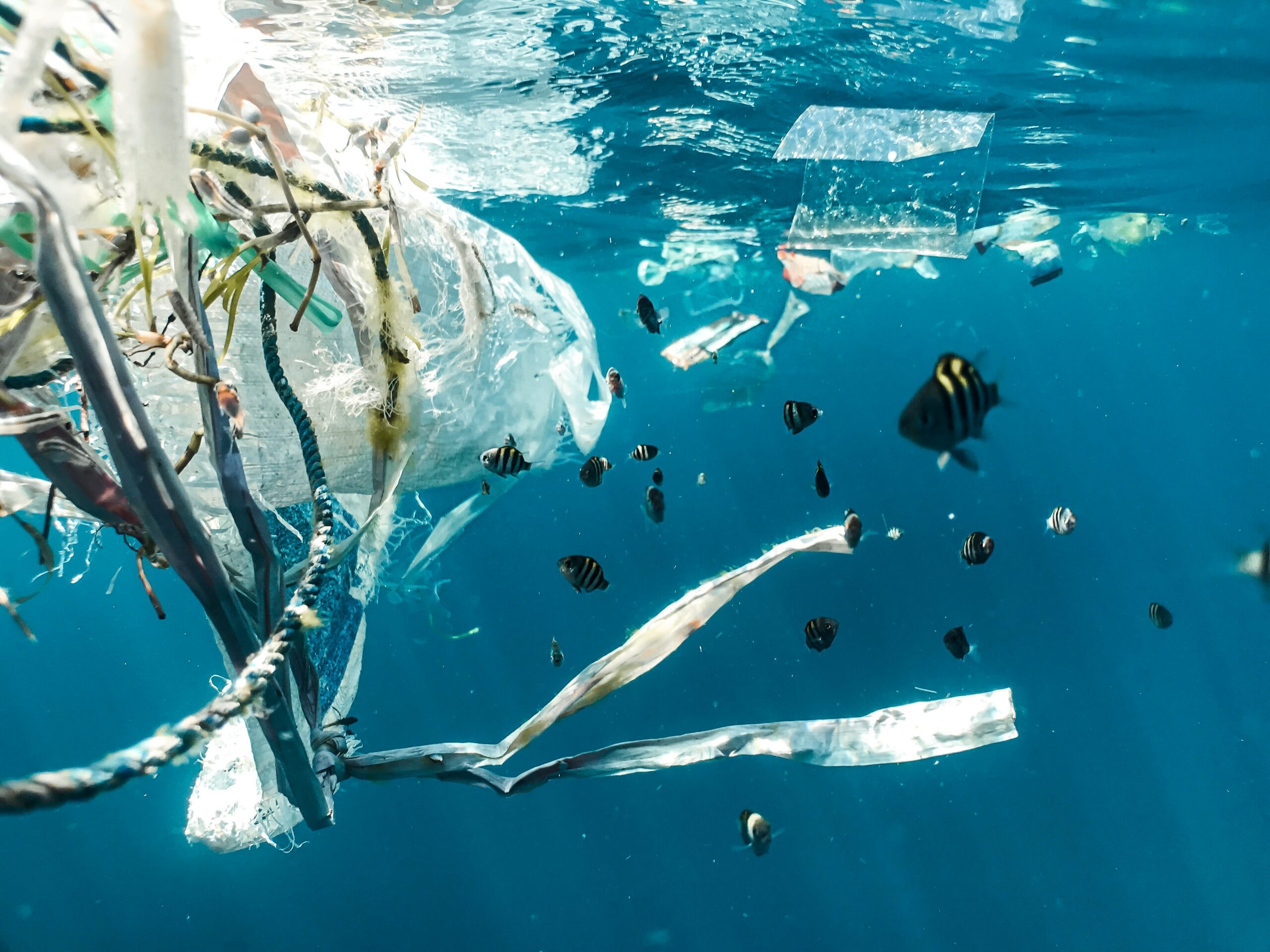 Responsible plastic contact Responsible plastic contact