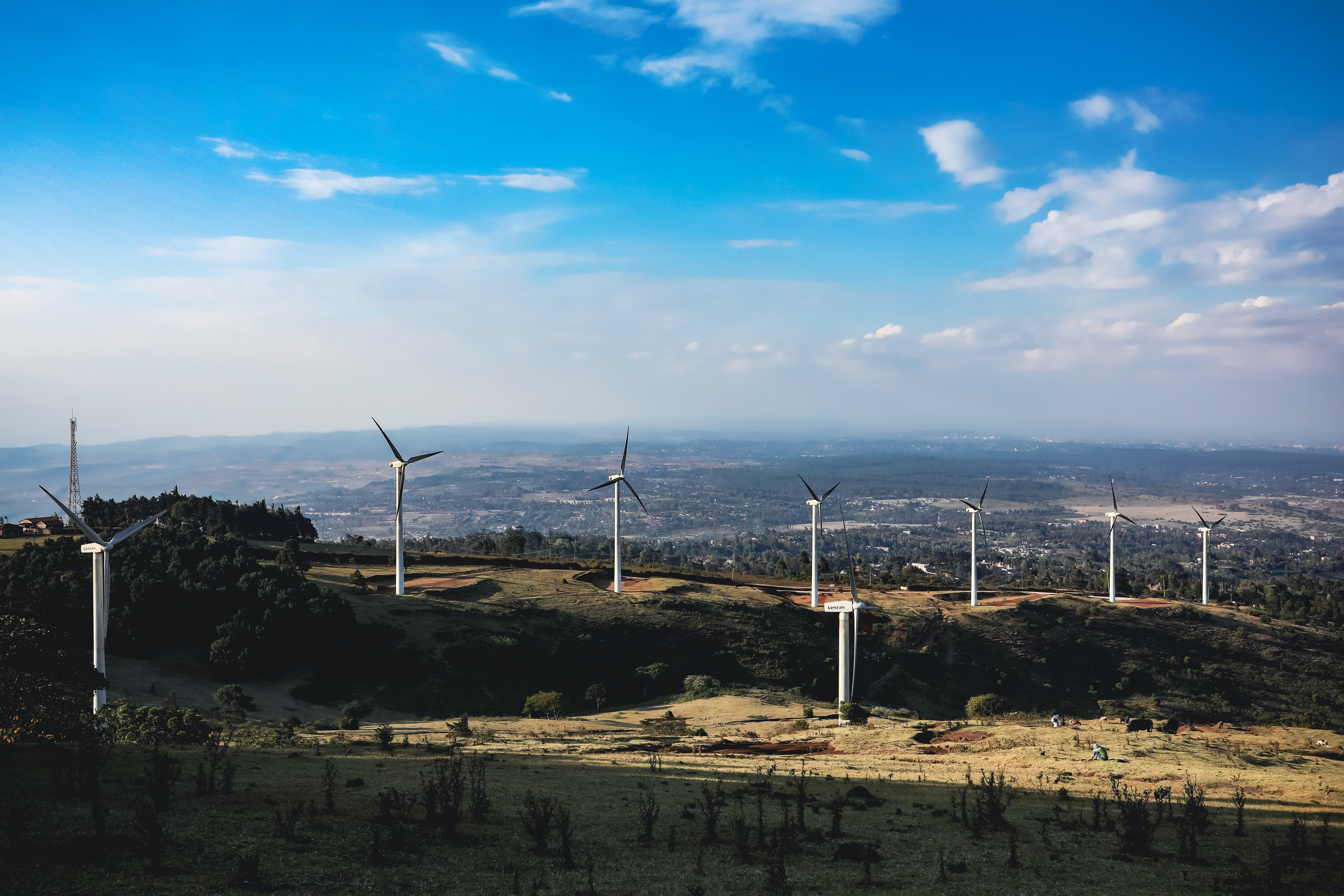 Carbon Standards Carbon Standards