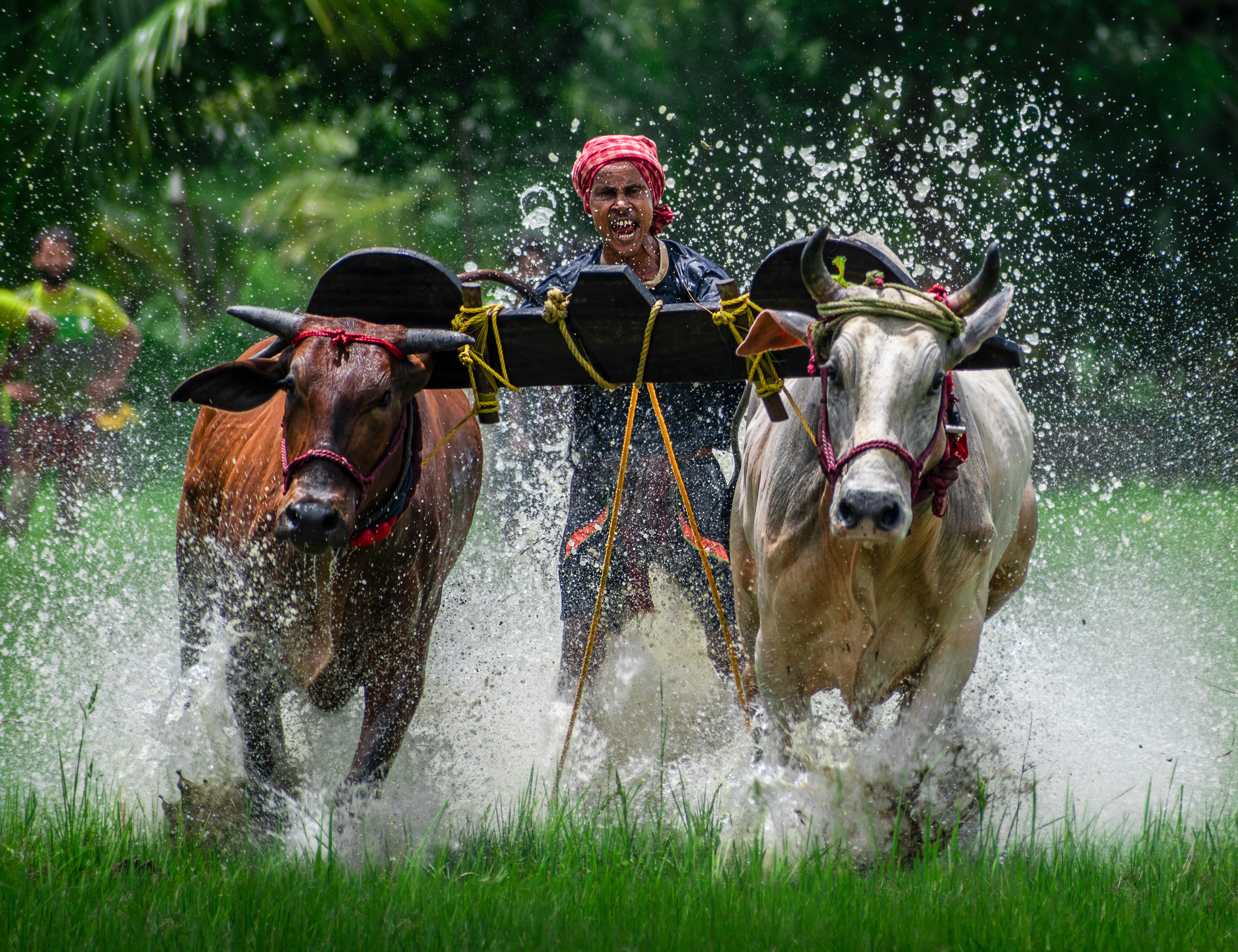 Climate, Community & Biodiversity Standard Climate, Community & Biodiversity Standard