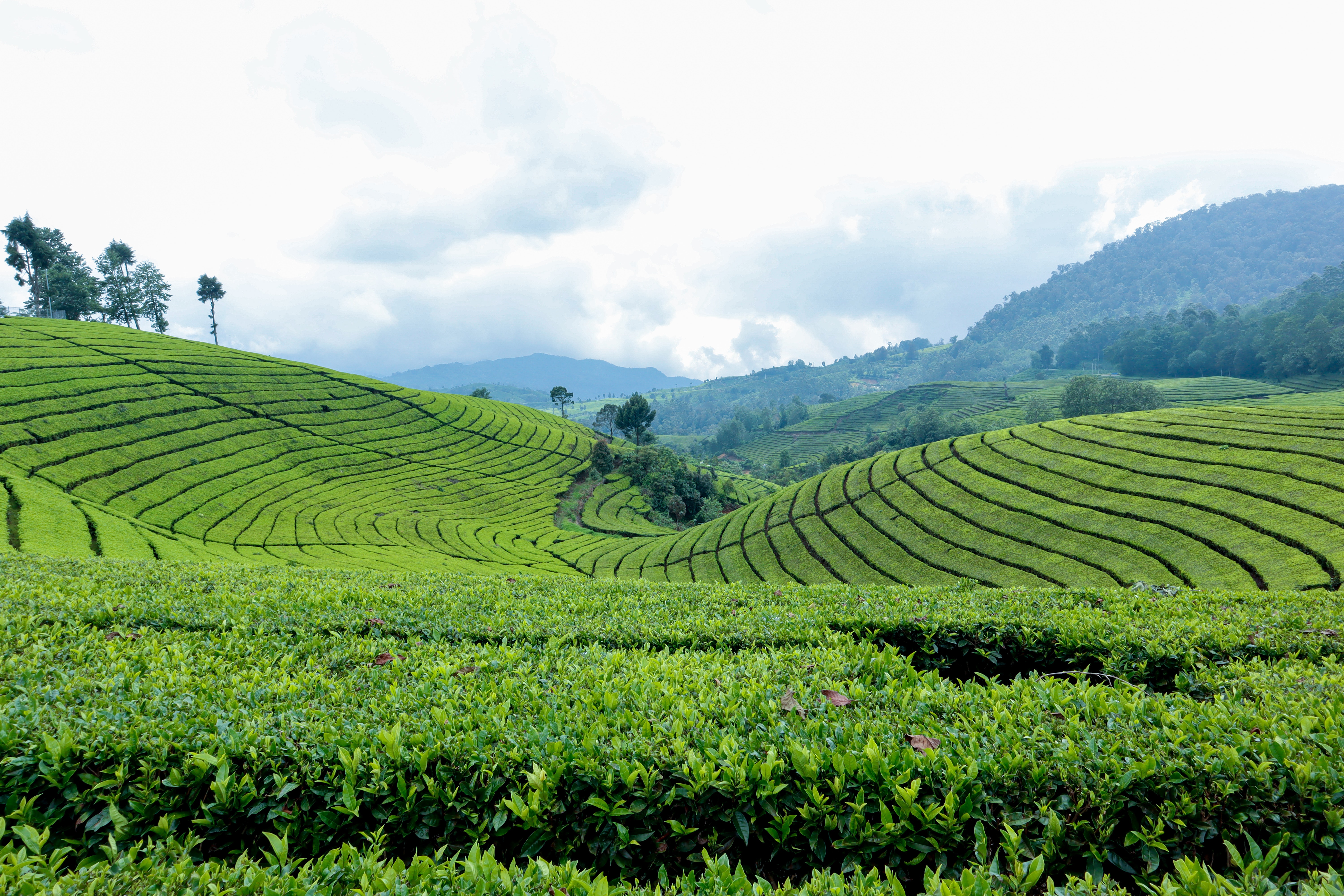 FSA – Farm Sustainability Assessment FSA – Farm Sustainability Assessment