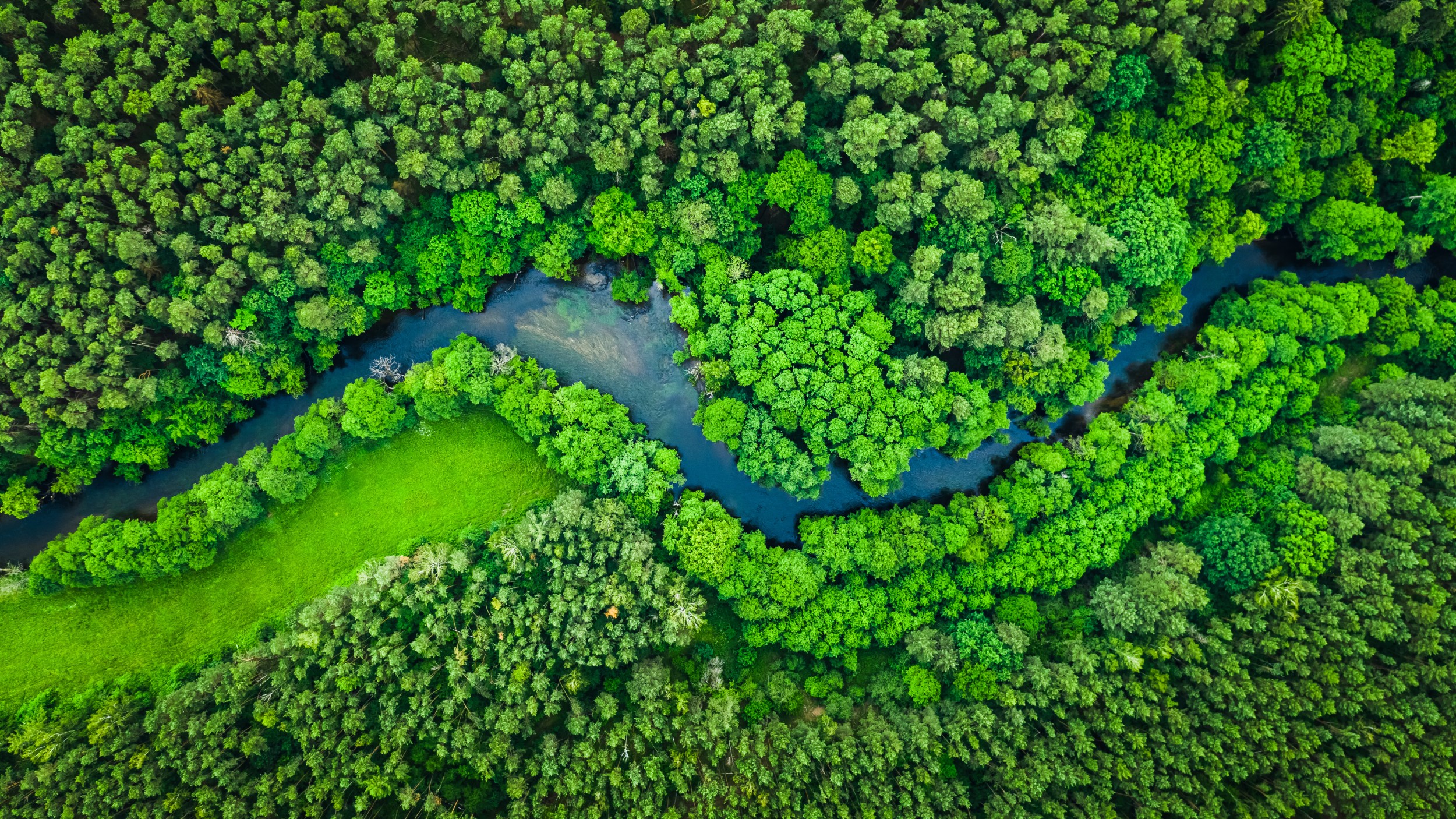 Sustainability