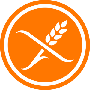 dzg-logo dzg-logo